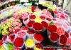 Chợ hoa Bangkok
