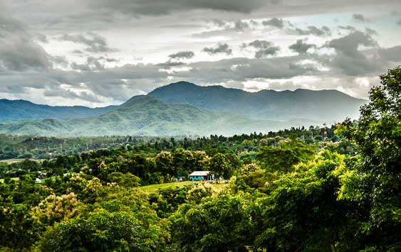 Một cánh rừng nguyên sơ ở Pai