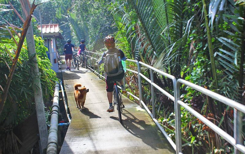 Tour xe đạp Jungle Bicycle - Ảnh 5