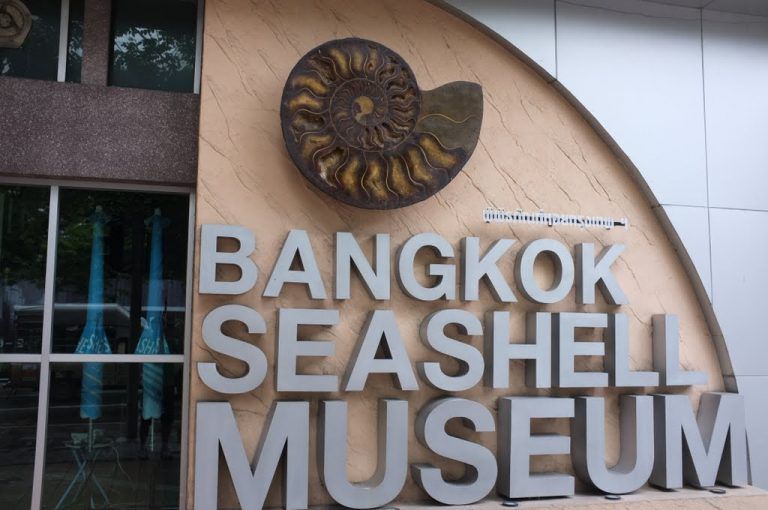 Bangkok Seashell Museum dulichag