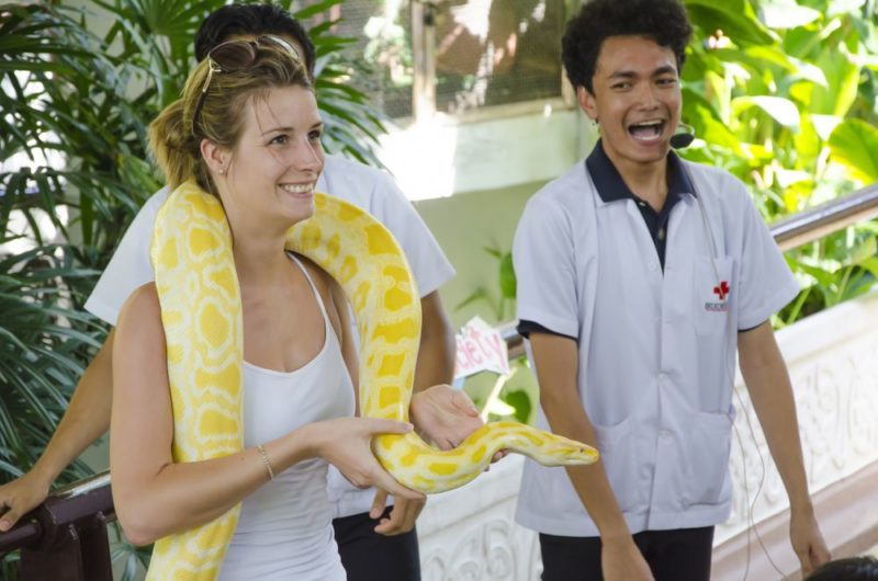 Trại rắn Bangkok - Bangkok Snake Farm