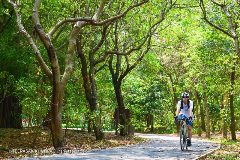 Tour đạp xe xuyên rừng ở Bang Kra Jao