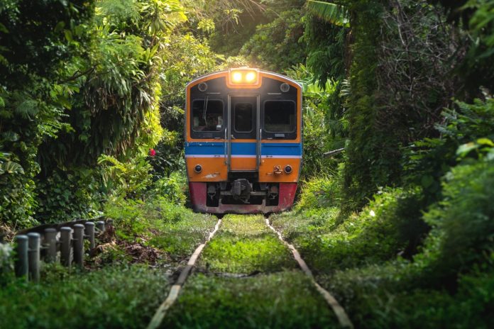 Xe lửa ở Thái Lan đang di chuyển qua rừng cây rậm rạp
